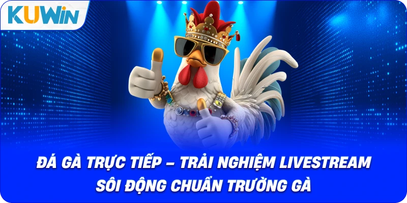 Đá Gà Trực Tiếp – Trải Nghiệm Livestream Sôi Động Sới Gà